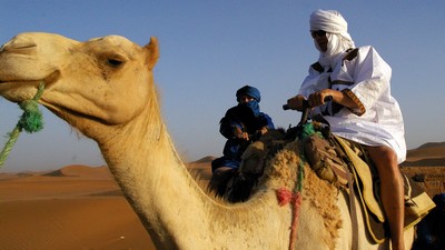Marokko  med vandringer i Atlasfjellene